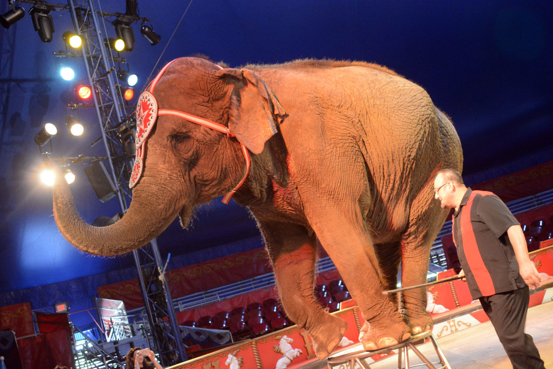 051918-bara-news-circus29